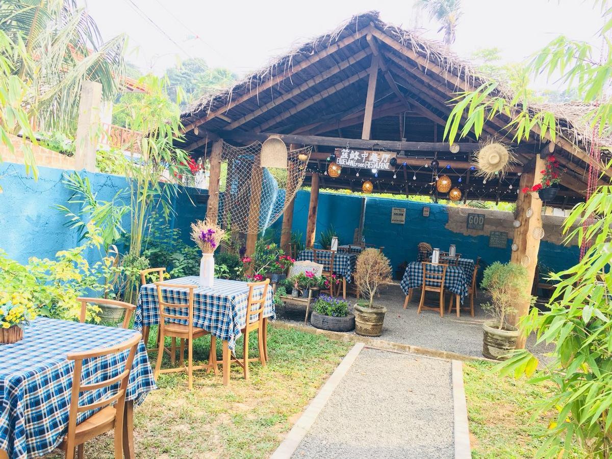 Blue Whale Holiday Hotel Mirissa Bagian luar foto