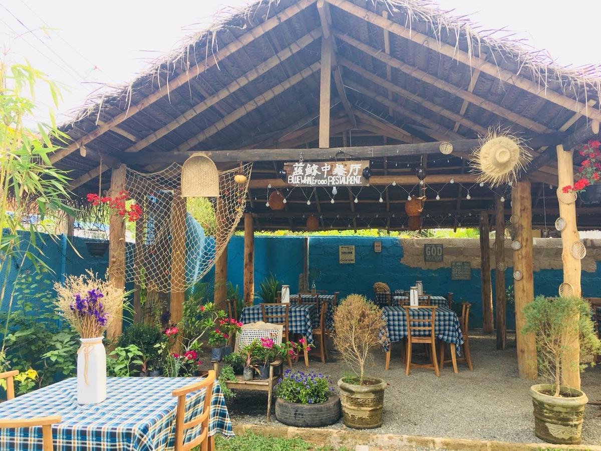 Blue Whale Holiday Hotel Mirissa Bagian luar foto