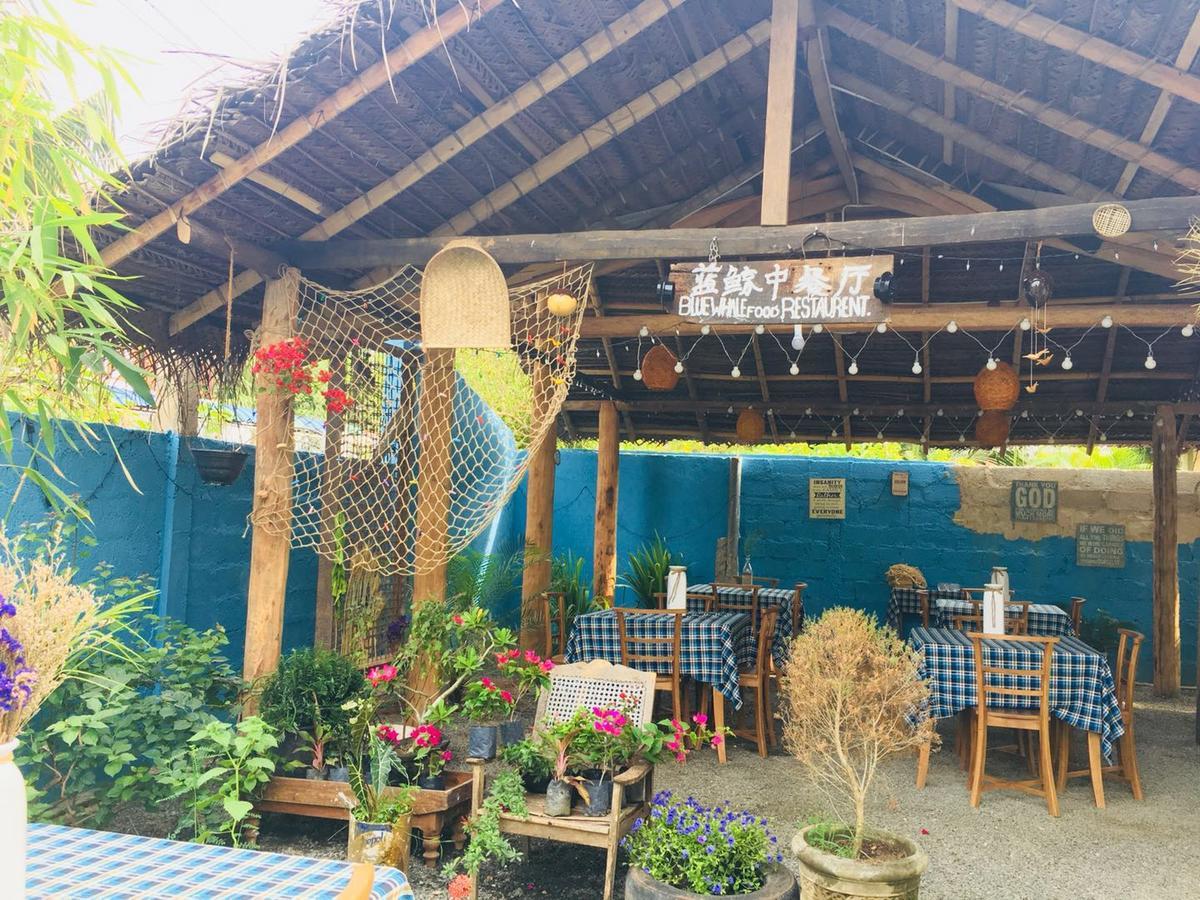 Blue Whale Holiday Hotel Mirissa Bagian luar foto