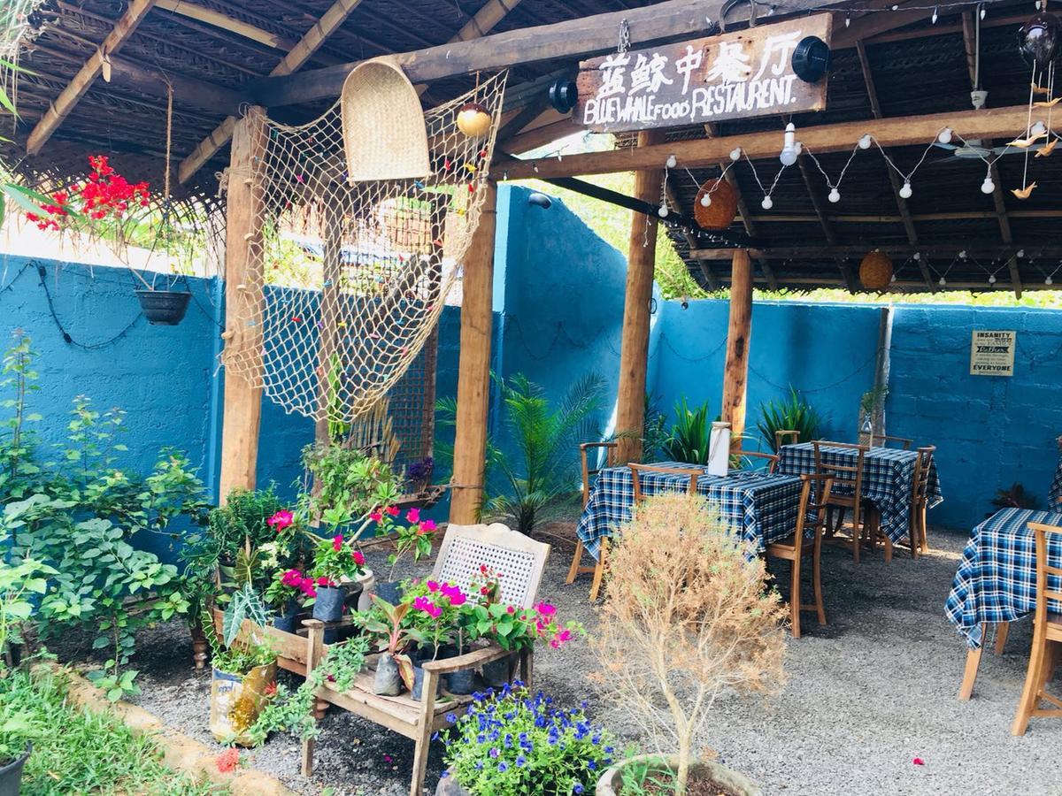 Blue Whale Holiday Hotel Mirissa Bagian luar foto