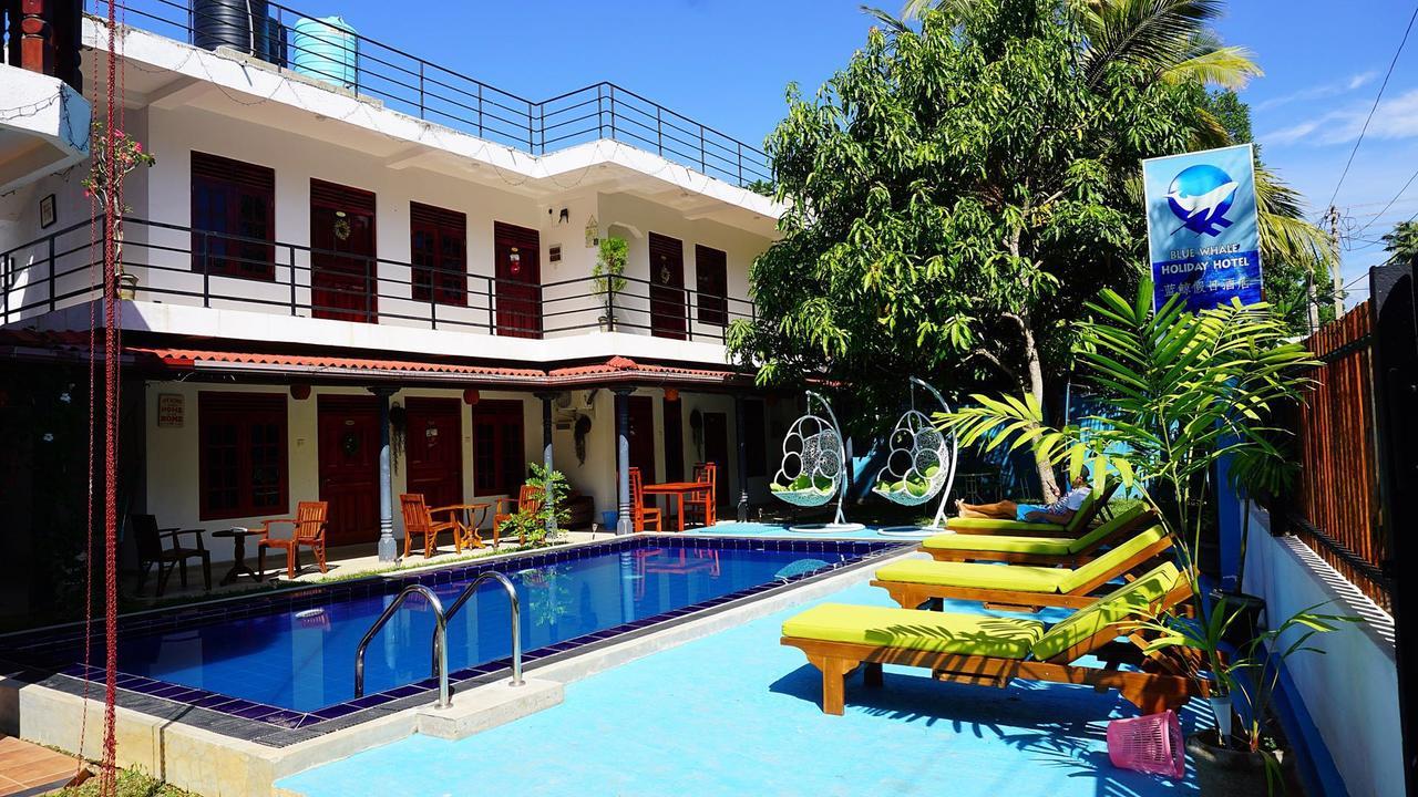 Blue Whale Holiday Hotel Mirissa Bagian luar foto