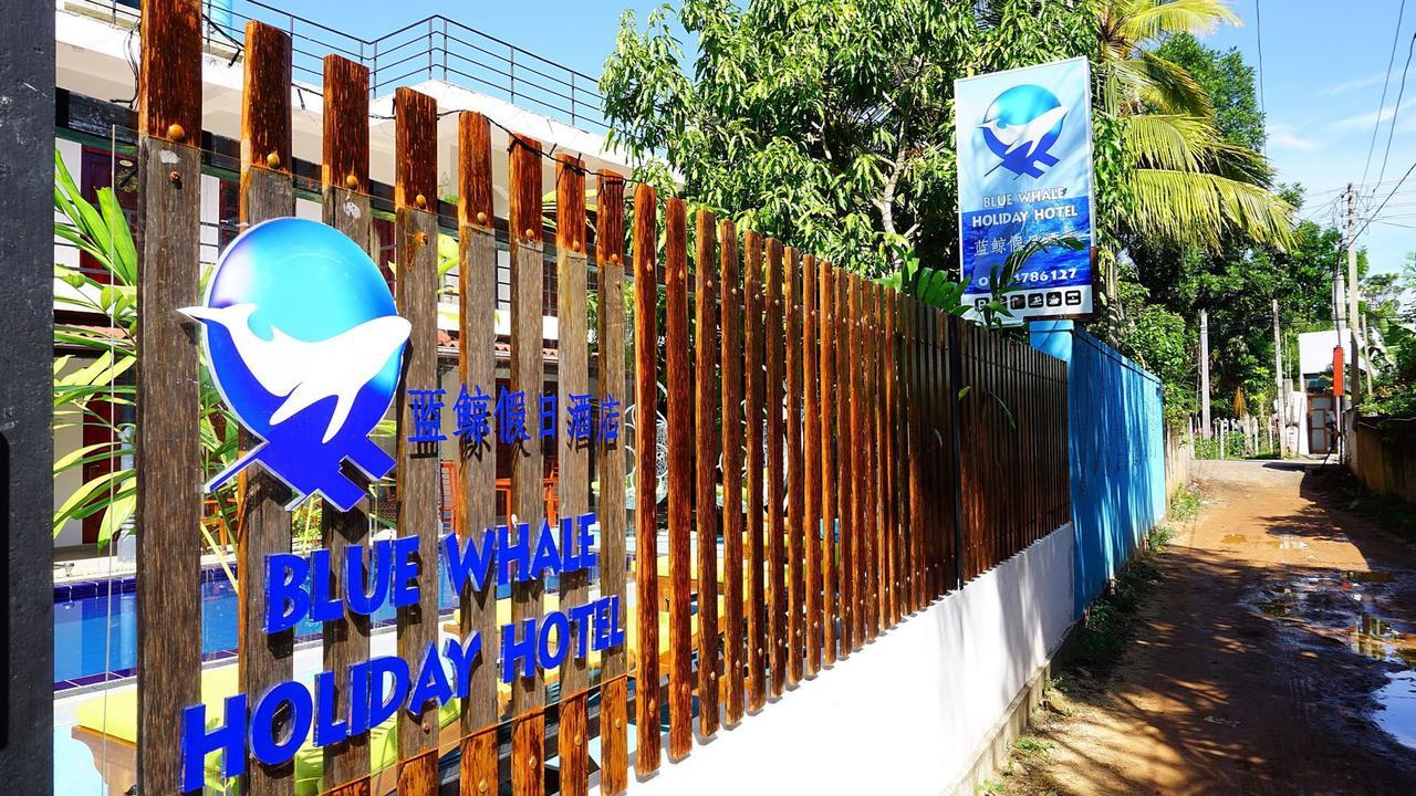 Blue Whale Holiday Hotel Mirissa Bagian luar foto