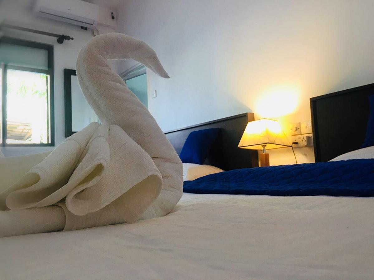Blue Whale Holiday Hotel Mirissa Ruang foto
