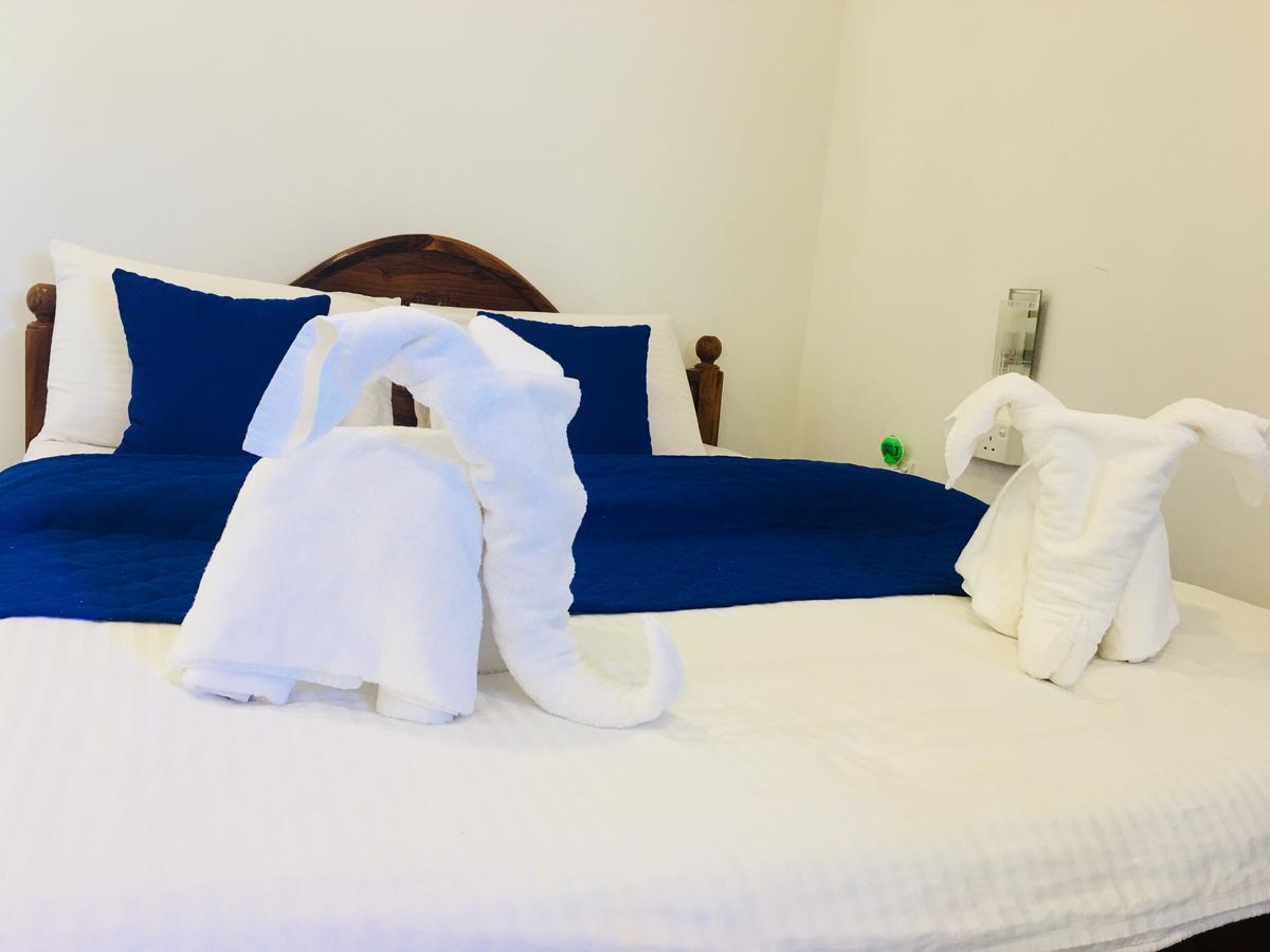 Blue Whale Holiday Hotel Mirissa Bagian luar foto