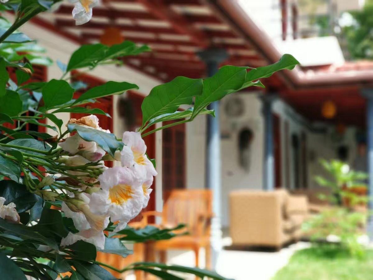 Blue Whale Holiday Hotel Mirissa Bagian luar foto