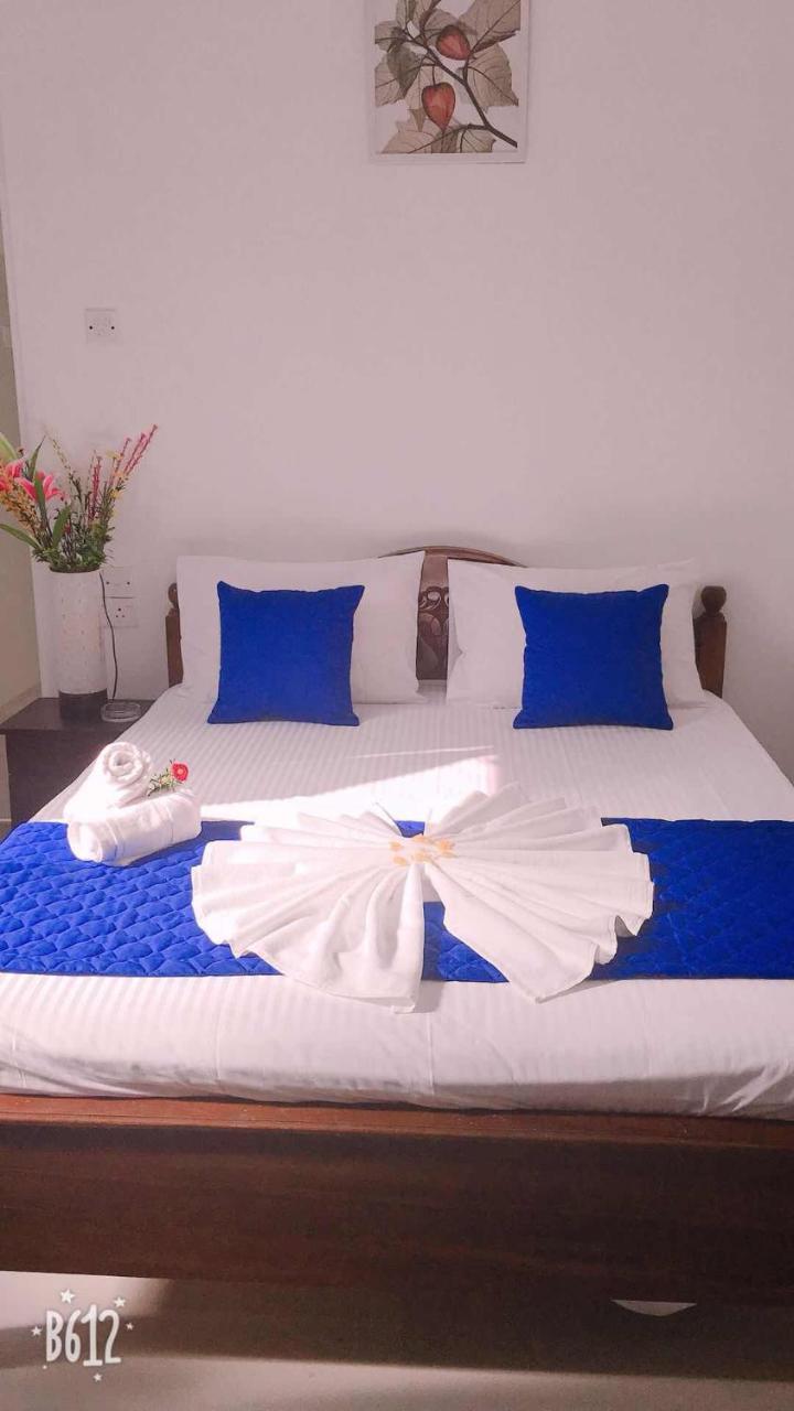 Blue Whale Holiday Hotel Mirissa Bagian luar foto