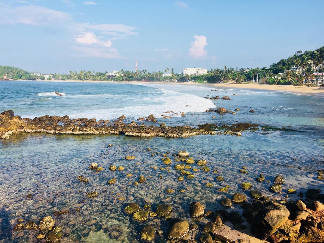 Blue Whale Holiday Hotel Mirissa Bagian luar foto