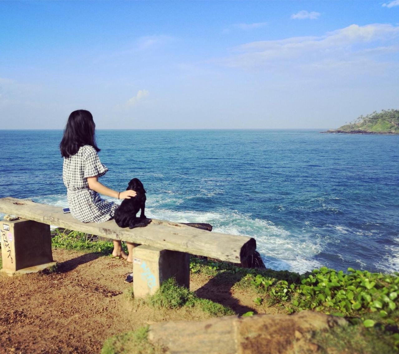 Blue Whale Holiday Hotel Mirissa Bagian luar foto