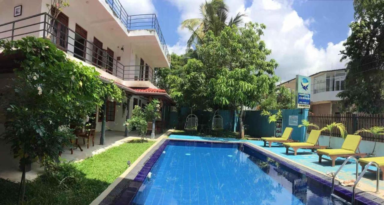 Blue Whale Holiday Hotel Mirissa Bagian luar foto