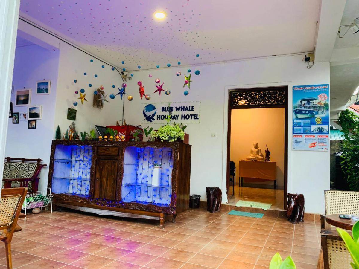 Blue Whale Holiday Hotel Mirissa Bagian luar foto