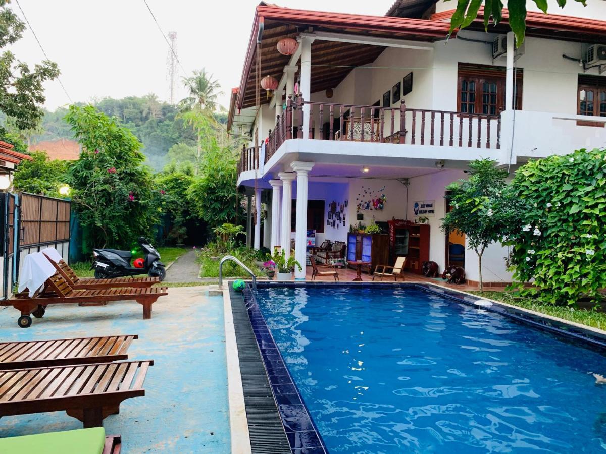 Blue Whale Holiday Hotel Mirissa Bagian luar foto